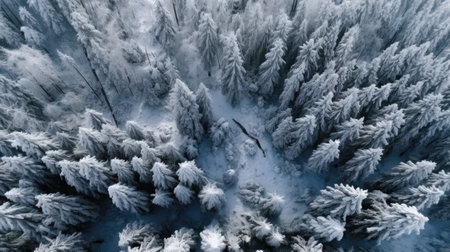 Aerial view of snow covered forest. Generative AIの素材