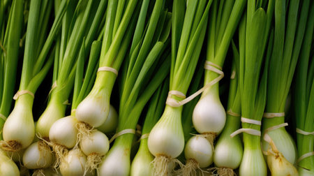 Full Frame Shot Of Spring Onions. Generative AIの素材