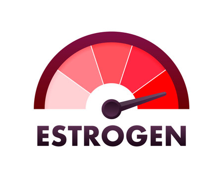 Estrogen Level Meter, measuring scale. Estrogen speedometer. Vector stock illustrationのイラスト素材