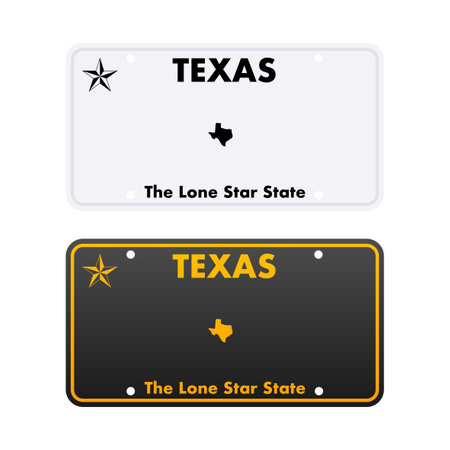 License plate of Texas. Car number plate. Vector stock illustrationのイラスト素材