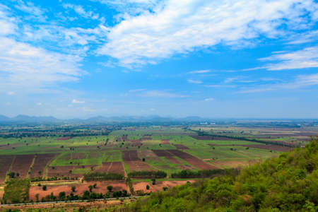 Rice field green grass blue sky landscape backgroundの写真素材