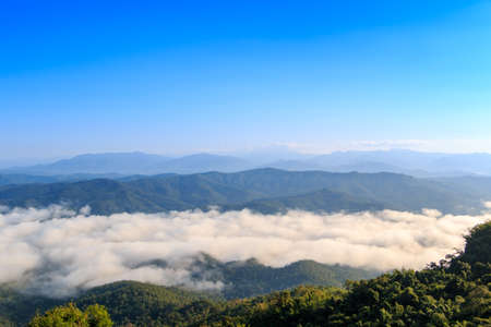 Landscape winter hill scene with fog, north of Thailand
