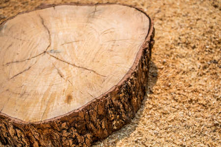 A Wooden Organic Background Textureの写真素材