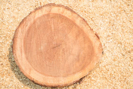A Wooden Organic Background Texture