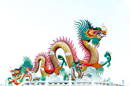 Exotic gold dragon on white backgroundの写真素材