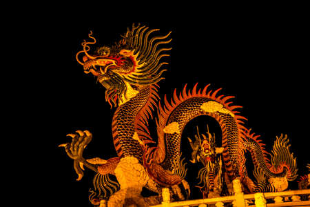 Exotic gold dragon on black sky background.の写真素材