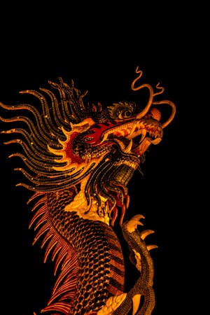 Exotic gold dragon on black sky background.の写真素材