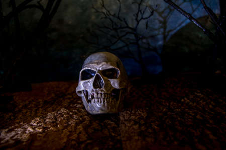 Halloween Skull head  lantern on scary backgroundの写真素材