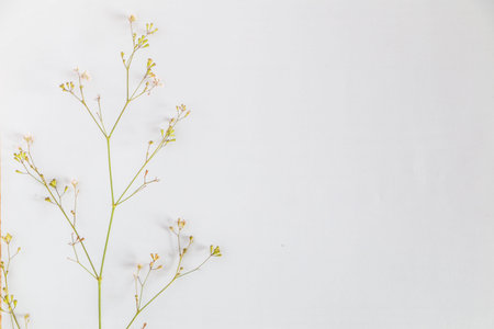 The white paper is placed on a wooden deck with flowers and leaves.