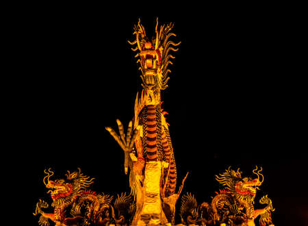 Exotic gold dragon on black sky background.の写真素材