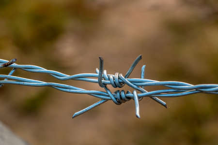 Barbed wire on concrete fence with Twilight sky to feel worrying.の写真素材