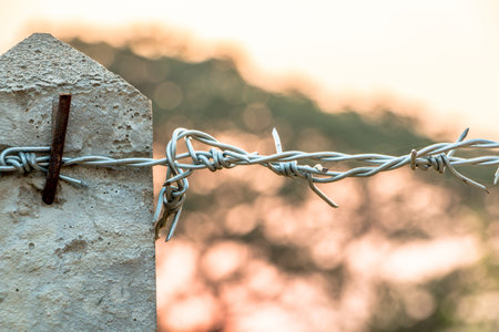 Barbed wire on concrete fence feel worrying.