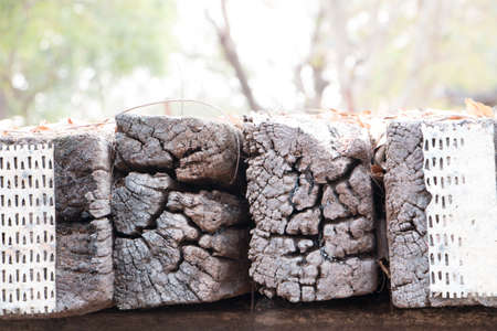 Wooden  repair railroad Put it on the floor for repair.の写真素材