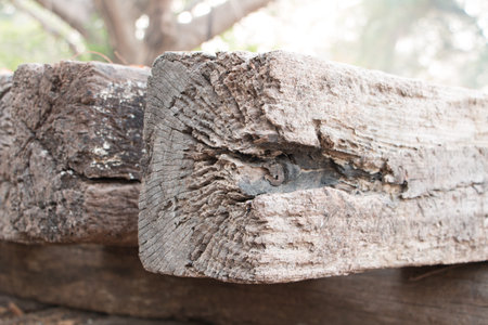 Wooden  repair railroad Put it on the floor for repair.の写真素材