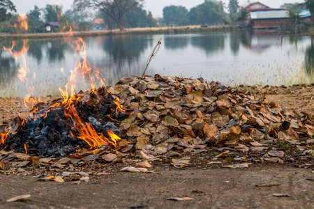 Bonfire of the fallen dead leaves on a field in the countryside, at season cleaning.の写真素材