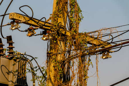 Electric Power lines are not working on a power pole tangled messy in city of Thailand.の写真素材