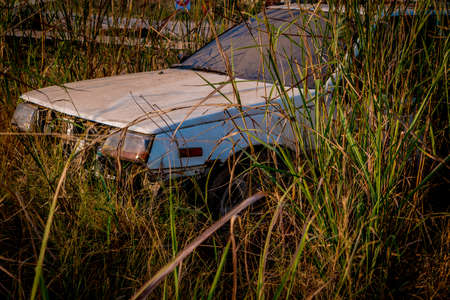 Abandone Old Cars turned into wrecks deep in swedish forests.の写真素材