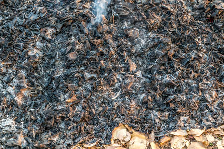 Bonfire of the fallen dead leaves on a field in the countryside, at season cleaning.