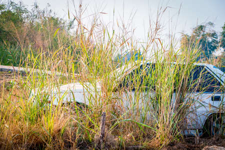 Abandone Old Cars turned into wrecks deep in swedish forests.の写真素材