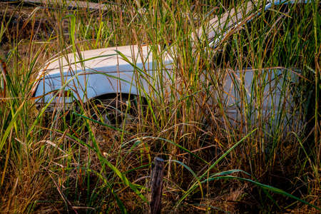 Abandone Old Cars turned into wrecks deep in swedish forests.の写真素材