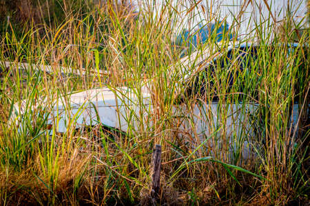 Abandone Old Cars turned into wrecks deep in swedish forests.の写真素材