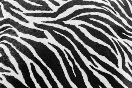 Texture of black and white zebra textileの写真素材