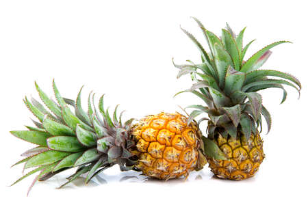 pine apple isolated on white background.の写真素材