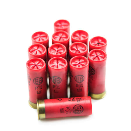 12 gauge shotgun shells isolated on a white background
