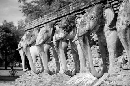 Black and White.Sukothai historical parkの写真素材