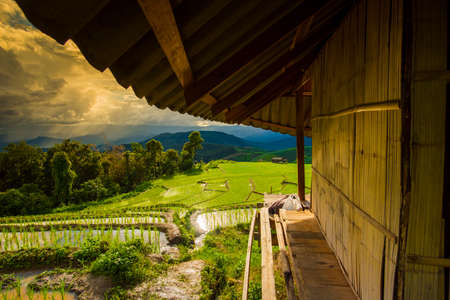 Terraced rice field with sun rays and dramatic sky in Pa Pong Pieng. Chiang Mai ,Thailand.の写真素材