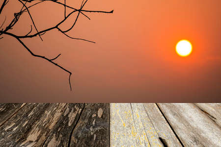wood floor with sunset background and branch.