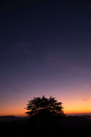 Silhouette tree and moon at sunrise Kintamani Bali ,Indonesia.の写真素材
