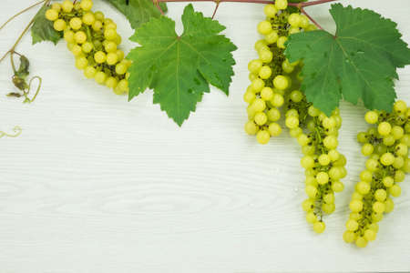 Fresh green grapes on wood floor.の写真素材