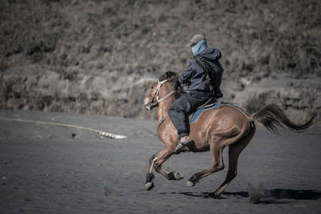 Horse rider on desert near Bromo Mountain Java ,Indonesia.のeditorial素材