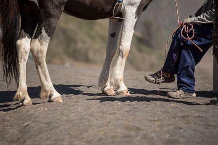Horse rider on desert near Bromo Mountain Java ,Indonesia.の写真素材