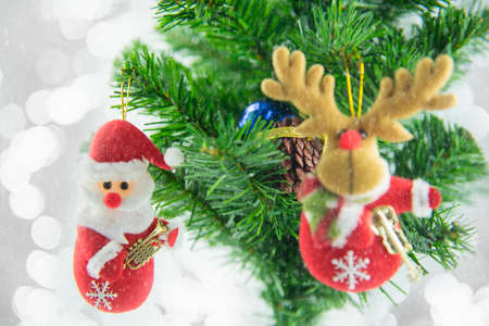Christmas present santa hanging on pine tree. Merry Christmas and Happy New Year.の写真素材