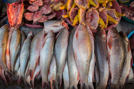 Fresh fish in the market Myawadi, Myanmar.