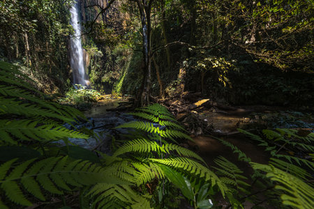 Pamak Waterfall "The Hidden Waterfall" Located in Khun Phra Wo National Park ,Tak ,Thailand.の写真素材