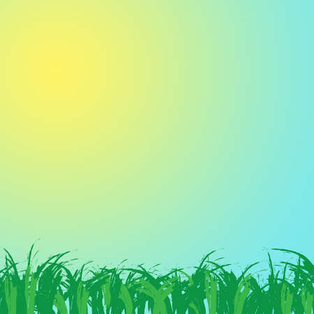 Grassの写真素材