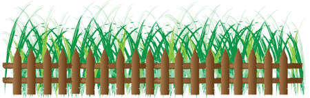 Grass and flower of frame on white backgroundのイラスト素材