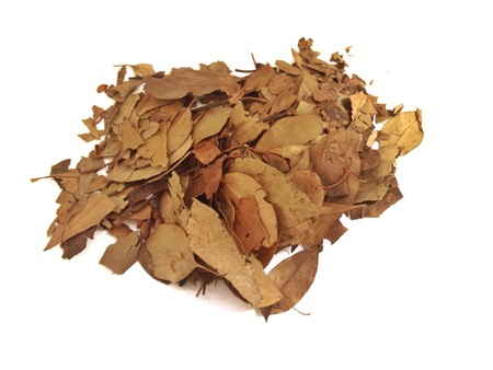 Dried Bay leaf isolateの素材