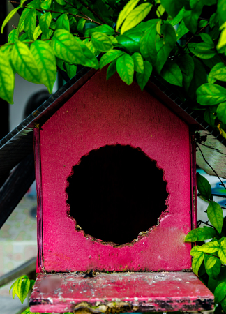 Empty rest birds nest box with green leafの写真素材