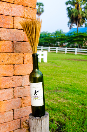 Wine with wheat on brick wall and green view yardの写真素材