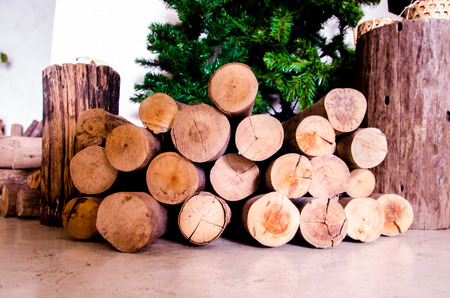 Pile of wood log with tree