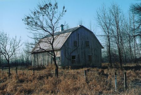 Old Barn on Blue