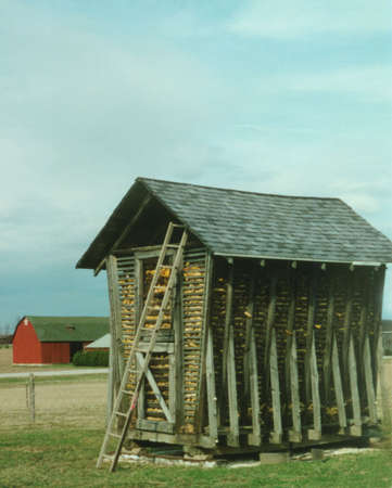 Old Corn Binの写真素材