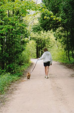 Walking the dog on a country roadの写真素材