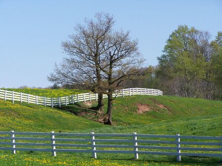 Rural Picket Fenceの写真素材