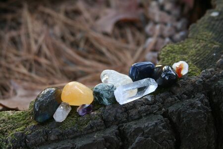 Natures Gifts