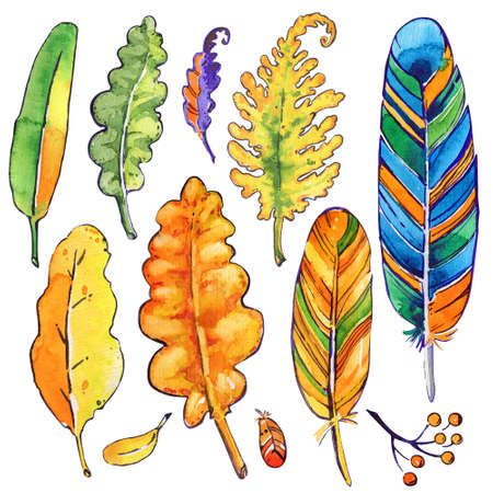 Feathers leaves isolated white background watercolorの写真素材